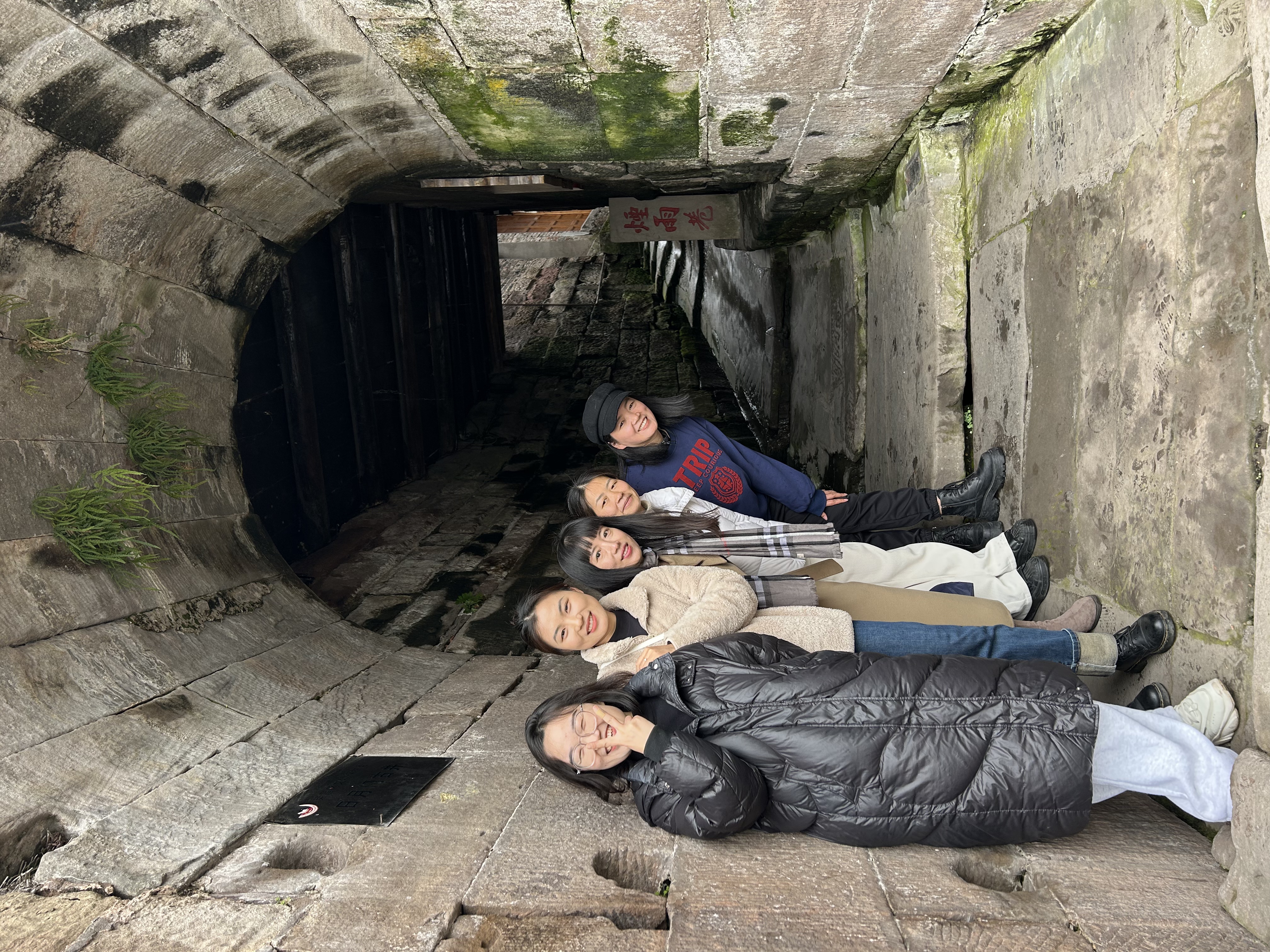 Btis_1741246327409017082.jpg Btis_1741246327409017082.jpg